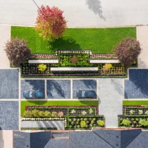 frontyard plants garden