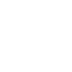 LYNX_Logo_White-01